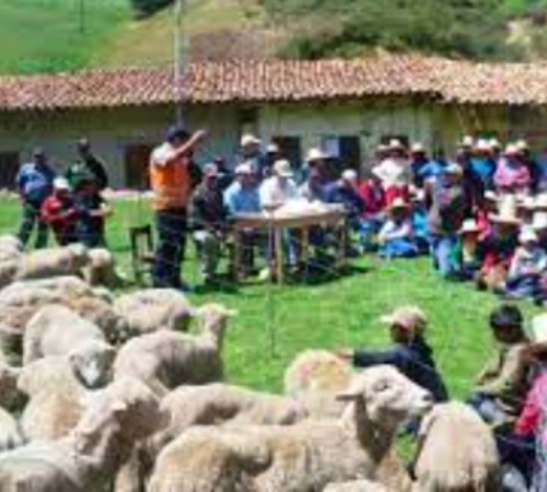 asuntos-sociales-1